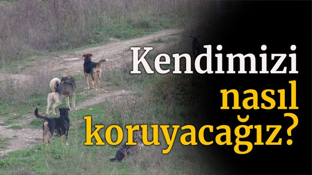 Kendimizi nasıl koruyacağız?